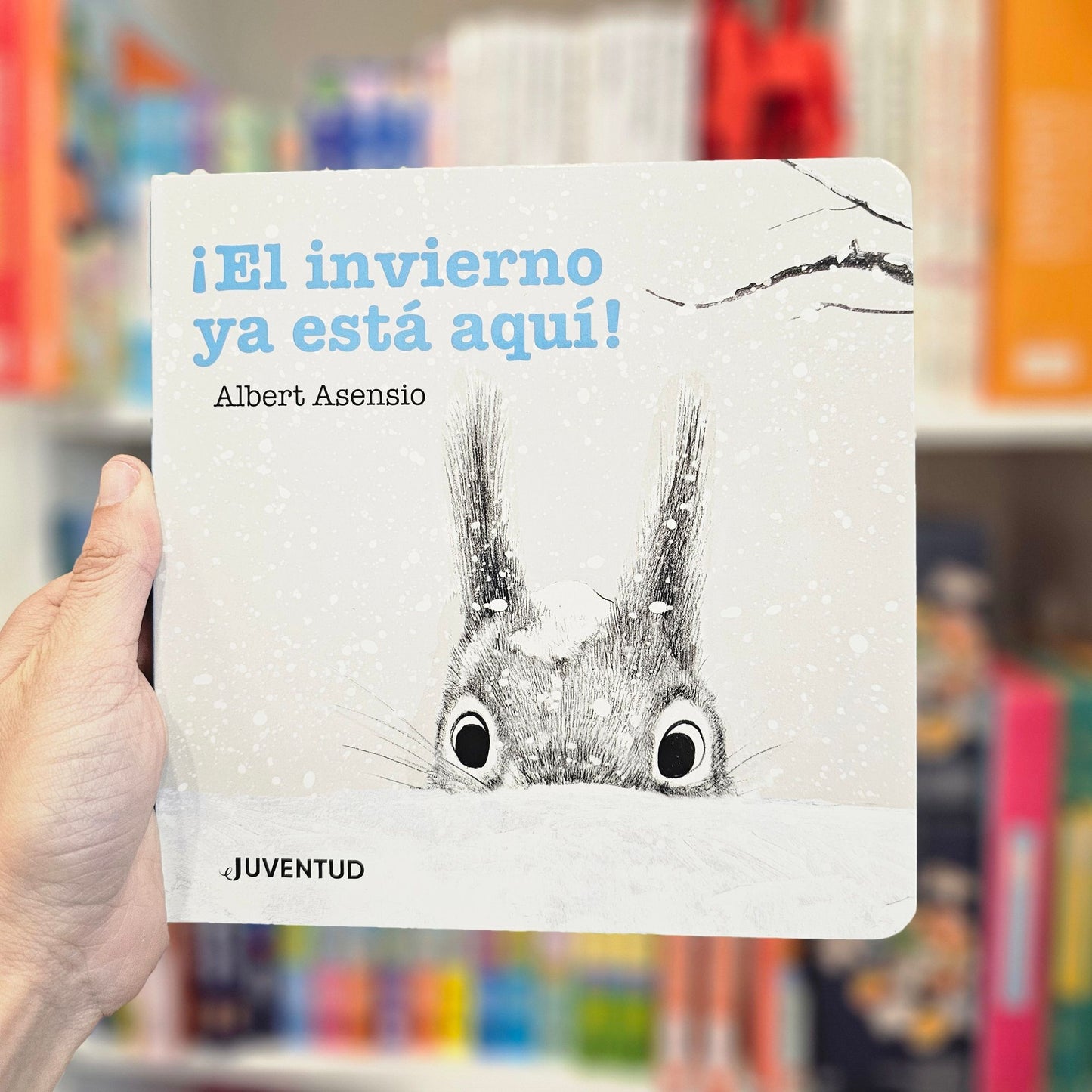 ¡EL INVIERNO YA ESTÁ AQUÍ! -LAS ESTACIONES