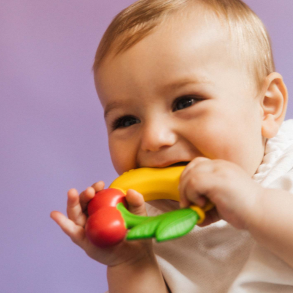 FRUIT TEETHING RING - ANILLO DE DENTICIÓN+JUGUETE DE BAÑO