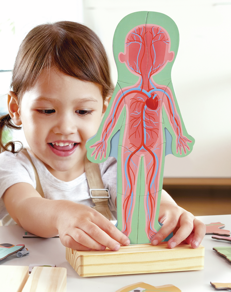 PUZZLE MAGNÉTICO DEL CUERPO HUMANO - HAPE -