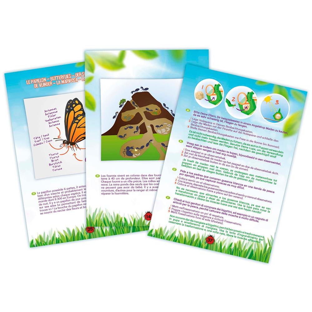 EXPLORADOR DE INSECTOS - BUKI