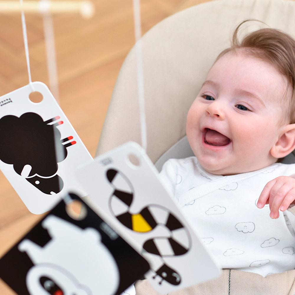 FLASH CARDS DE ALTO CONTRASTE (+3 MESES)