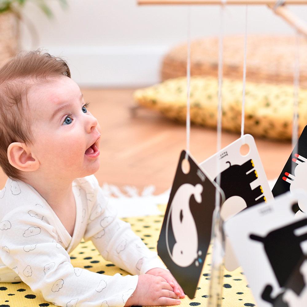 FLASH CARDS DE ALTO CONTRASTE (+3 MESES)