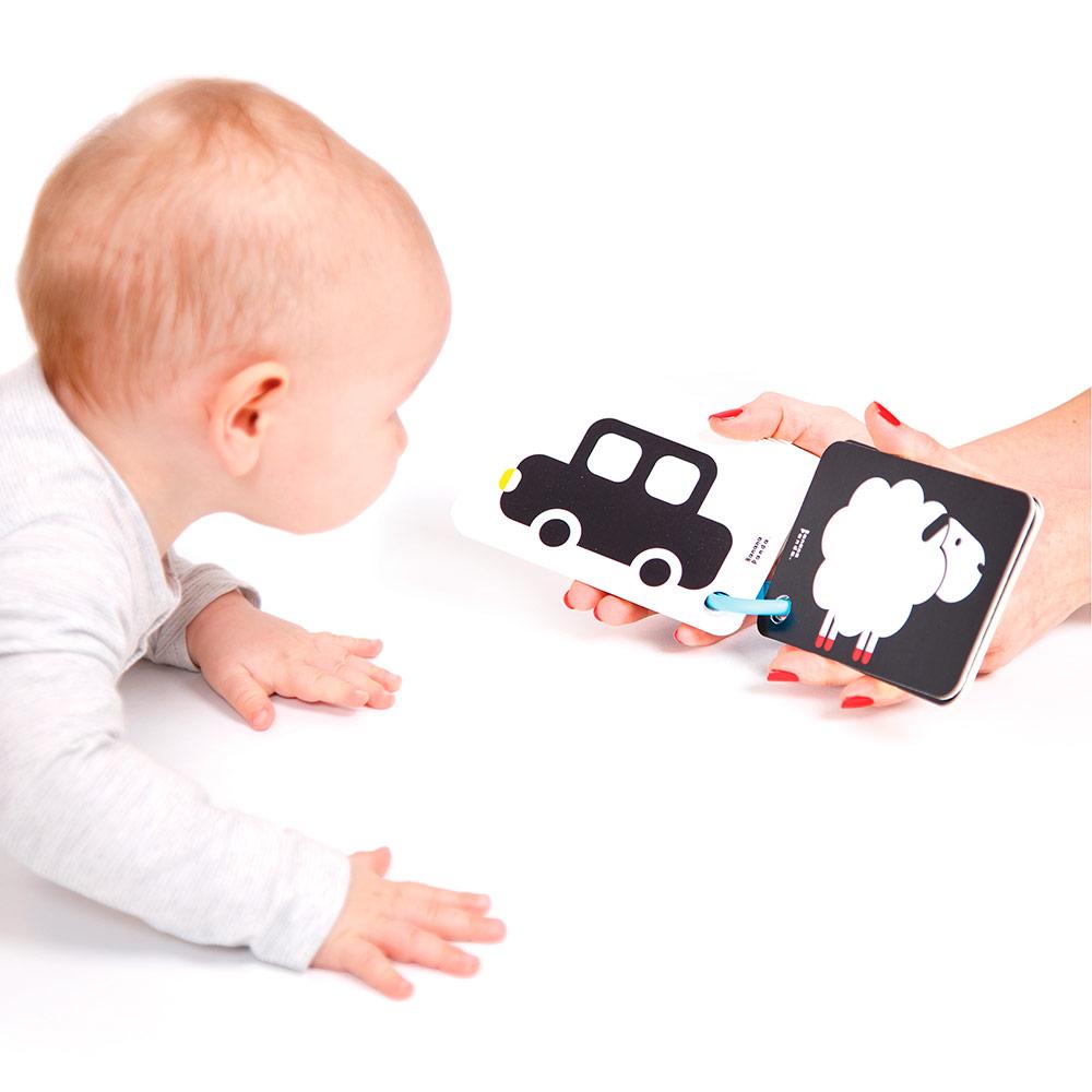 FLASH CARDS DE ALTO CONTRASTE (+3 MESES)