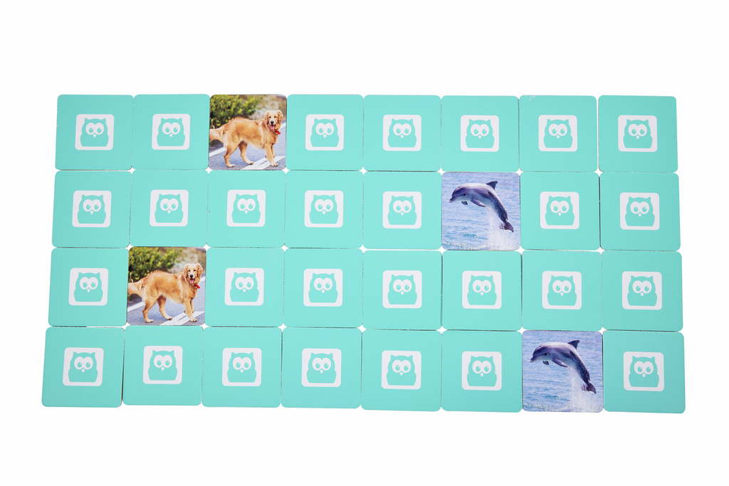 JUEGO DE PAREJAS - ANIMALES -
