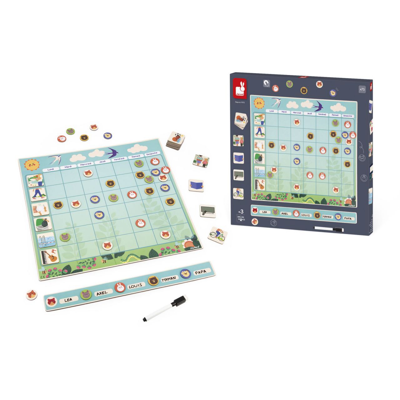 TABLA DE ORGANIZACIÓN MAGNETICA - JANOD