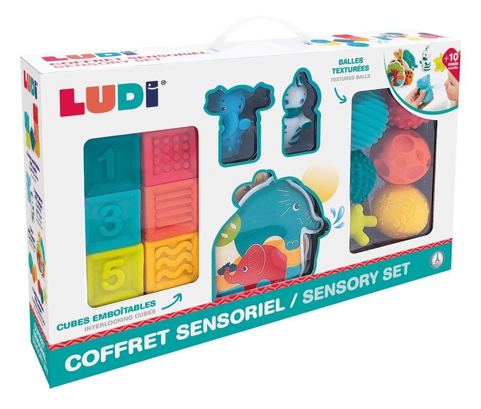 CONJUNTO SENSORIAL LA JUNGLA- LUDI