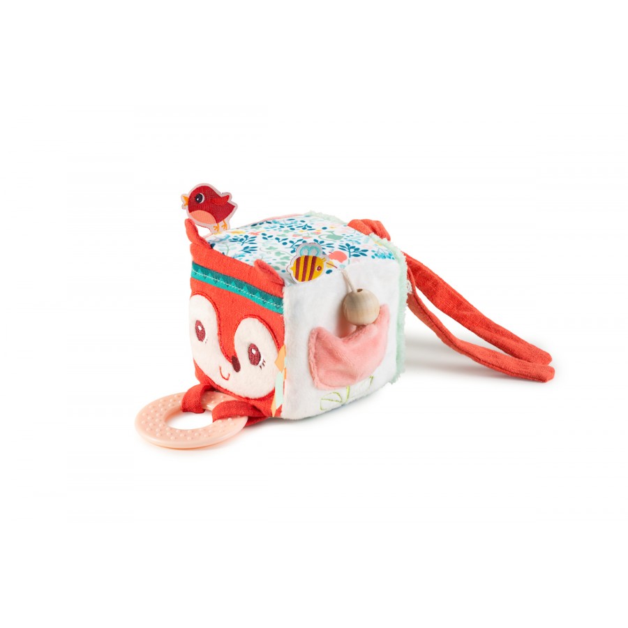 ALICE -CUBO DE ACTIVIDADES -