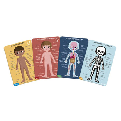 CUERPO HUMANO - 4 PUZZLES EDUCATIVOS - JANOD