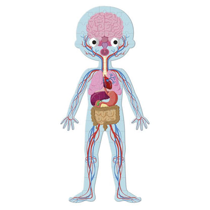 CUERPO HUMANO - 4 PUZZLES EDUCATIVOS - JANOD