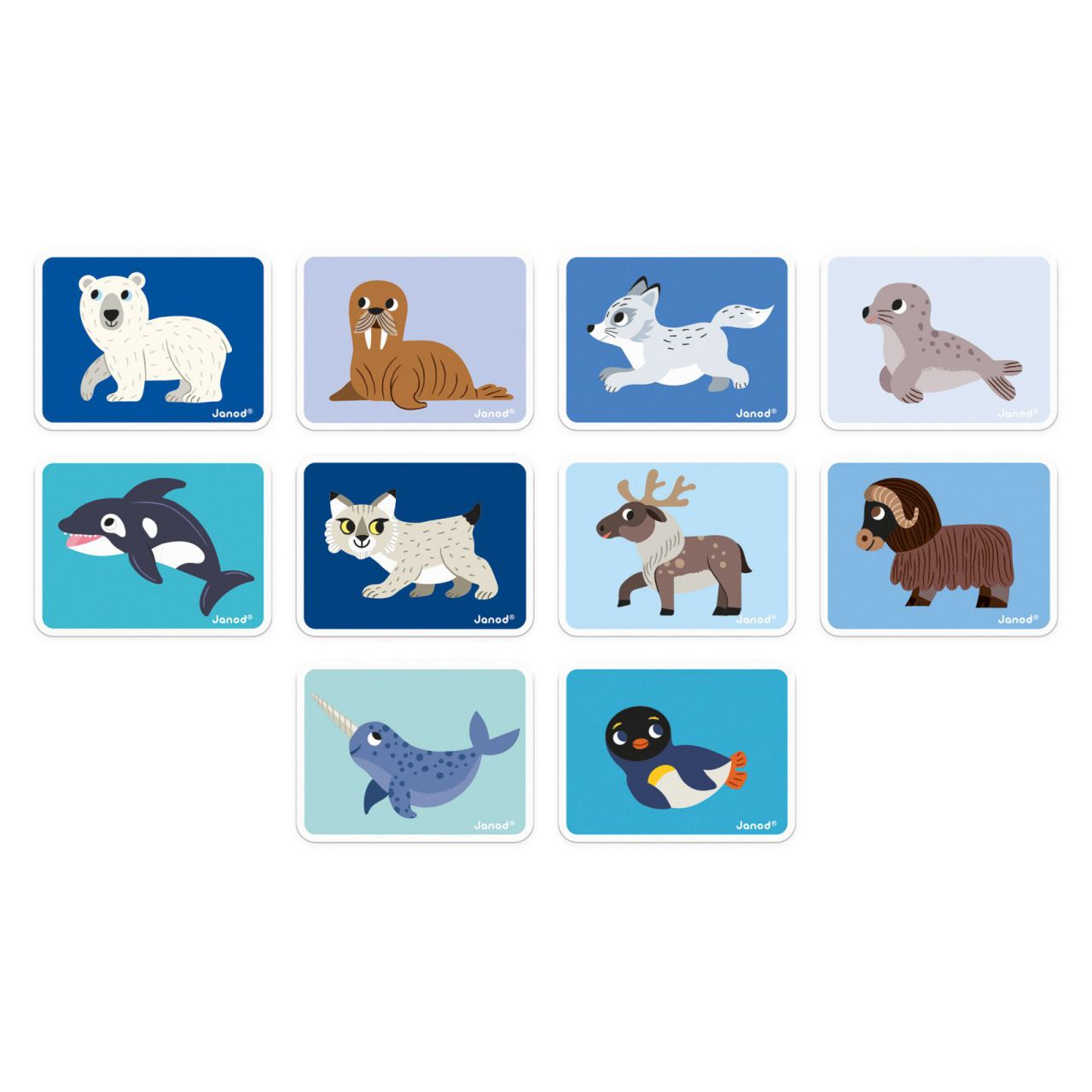 MagnetiBook - ANIMALES POLARES -