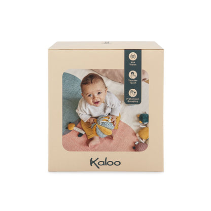 PELOTA DE AGARRE - KALOO -