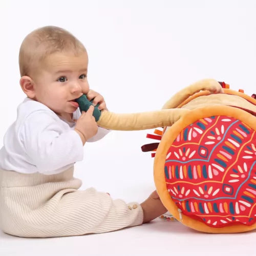 BABY ROLLER LEÓN - ACTIVIDADES - LUDI