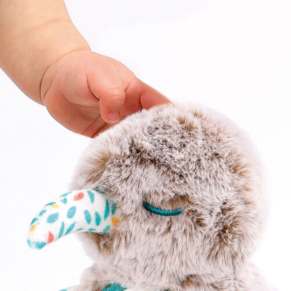ABRAZO KIWI -