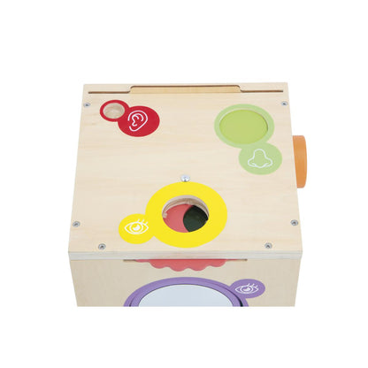 CAJA SENSORIAL JANOD - CONJUNTO DE MADERA