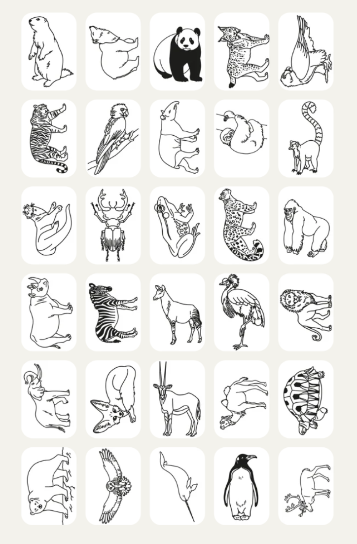 PLANTILLAS  PARA KIDYDRAW TRAVEL - ANIMALES OCÉANO & PIRATAS - KIDYWOLF