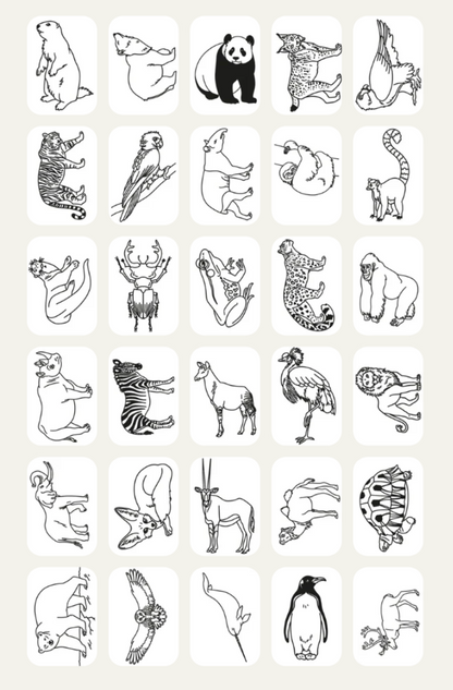 PLANTILLAS  PARA KIDYDRAW TRAVEL - ANIMALES OCÉANO & PIRATAS - KIDYWOLF