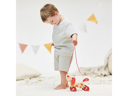 PERRITO PEPE DE ARRASTRE - HAPE -