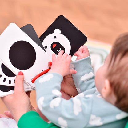 FLASH CARDS DE ALTO CONTRASTE (0 MESES)
